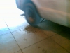 Driver of SF DPT truck 158 602 leaves a puddle